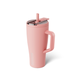 Era Flip 30oz | Guava - Clean Choice