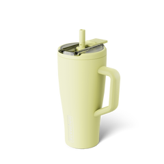 Era Flip 30oz | Prickly Pear - Simple Refresh