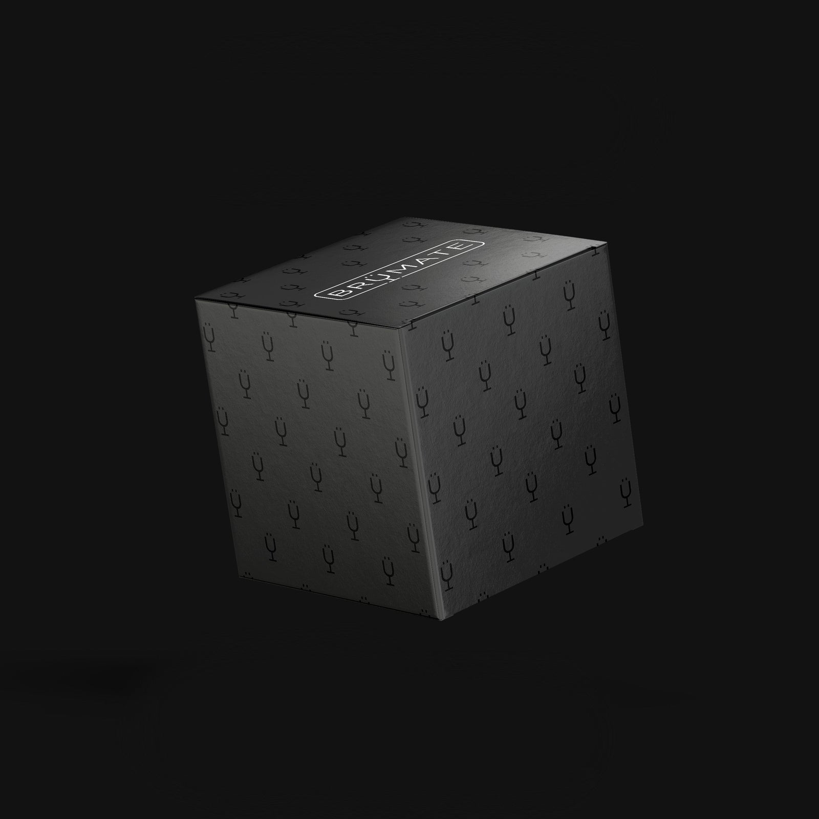 Mystery Item ($24-49 Value) - Lite Carry